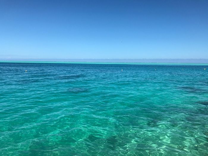 Bora bora o moorea 6