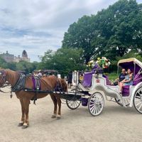 Avete una foto del momento della proposta? 💍📸 - 1