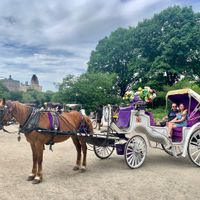 Proposta di matrimonio 💍 - 2