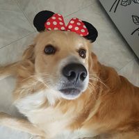 Il più bel regalo ricevuto 💝 - 1