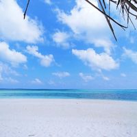 Viaggio di nozze a maggio - 1
