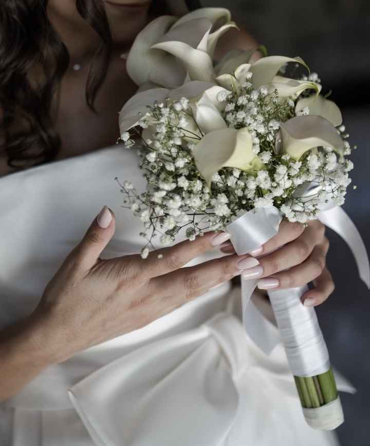 Quale mi consigliate. - 1