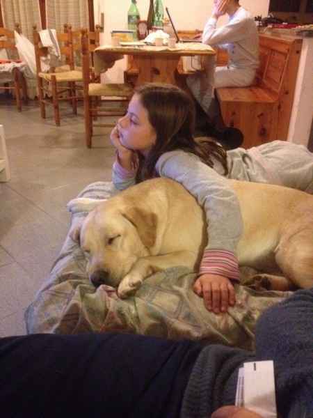 Too cute: i vostri amici animali - 2