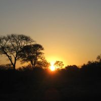 Sudafrica botswana seychelles fai da te!meravigliose! - 1