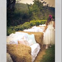 Le mie sedute saranno così 