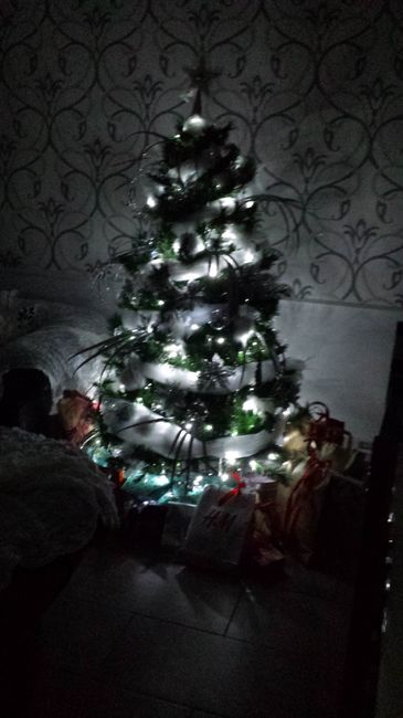 Il vostro albero di Natale! - 1