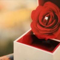Anello di fidanzamento 💍 - 1