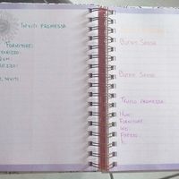 Diario sposa / wedding planner / agenda sposa - 39