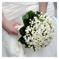 Ragazzeee quale vi piace??? - 1