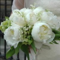 Ragazzeee quale vi piace??? - 2