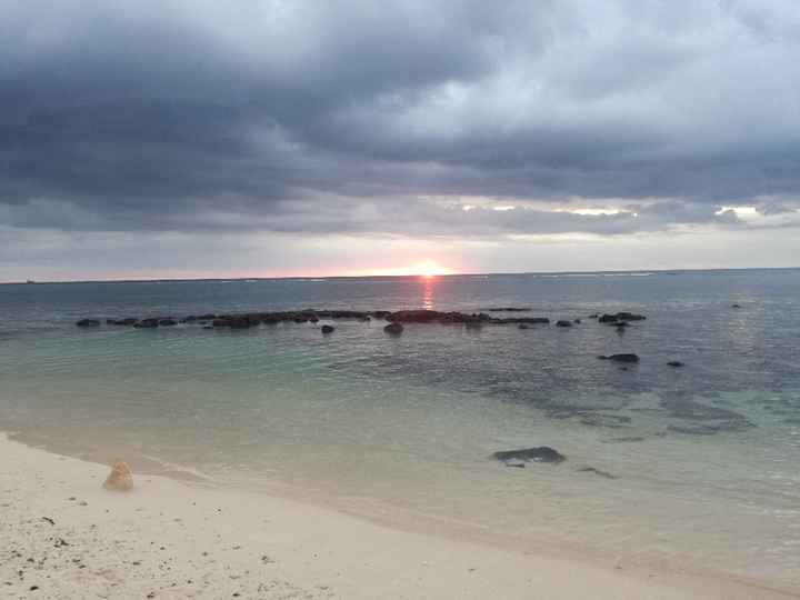  Viaggio di nozze - 1