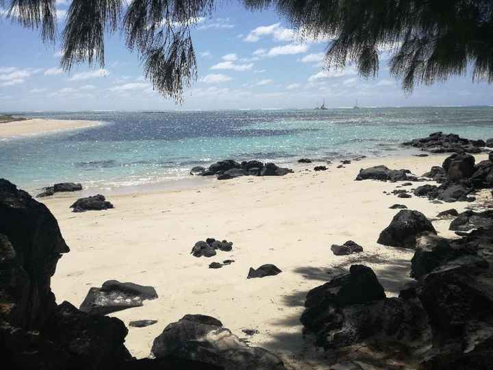  Viaggio di nozze - 4