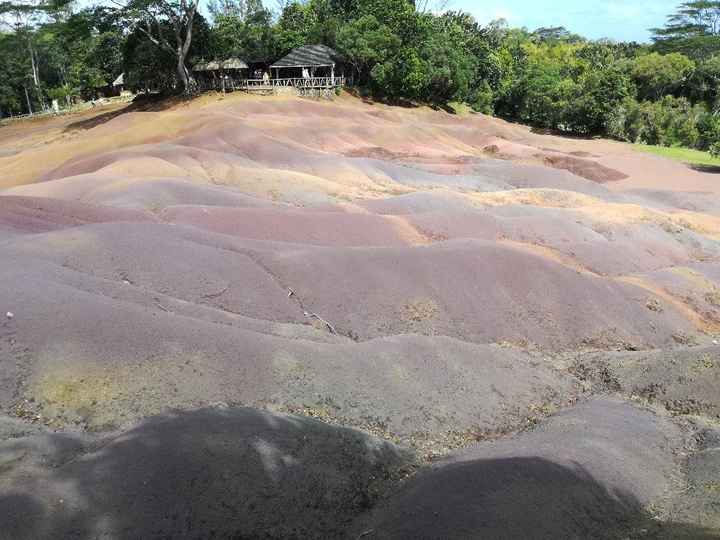  Viaggio di nozze - 1