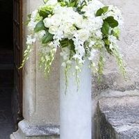 fiori