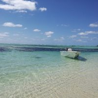  Viaggio di nozze - 3