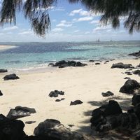  Viaggio di nozze - 4