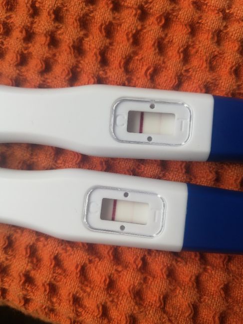 Test gravidanza Amazon: affidabili? 1