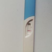 Test gravidanza Amazon: affidabili? - 1