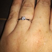 Proposta di matrimonio 