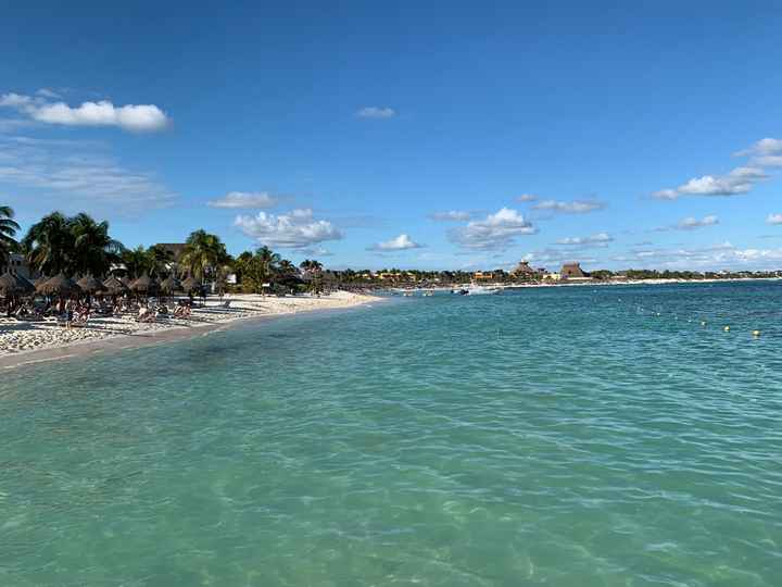 Messico e alghe? - 1