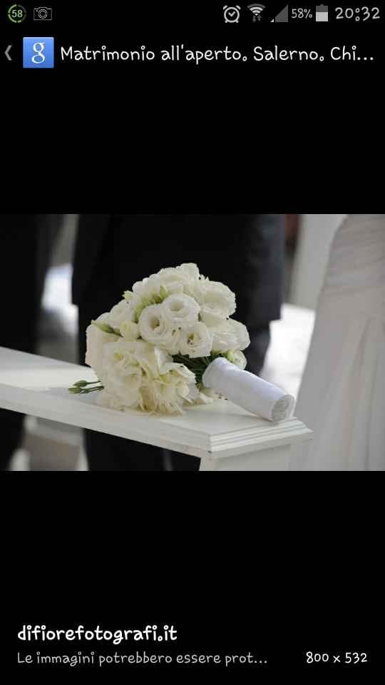 Consigli fiorista padova - 1