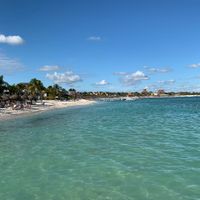 Messico e alghe? - 1