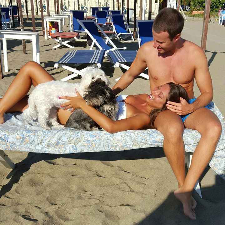 Compagno a 4 zampe? - 1