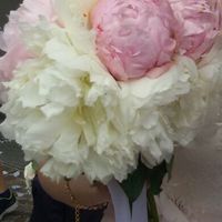 Ed è arrivato anche per me !!!! - 1