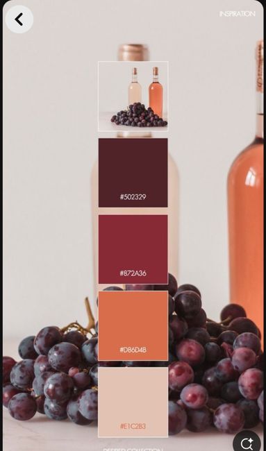 Matrimonio tema vino 21