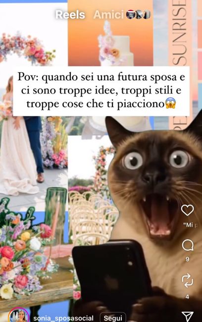 Cosa avete scelto? 1