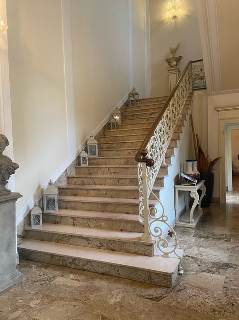 Allestimenti 💫 10