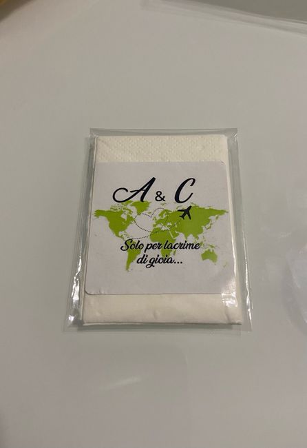 Dove avete fatto fare le partecipazioni e wedding bag? 8