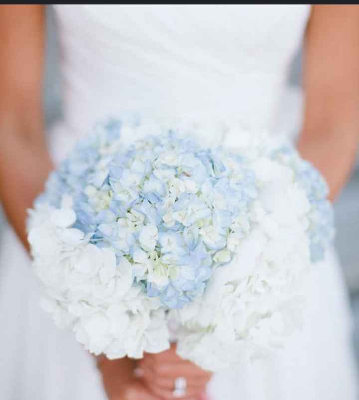 Dubbi sul bouquet - 1