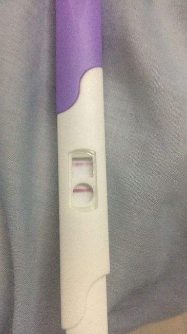 ❤🧡💛💚💙💜 pma 2020, siamo cariche? 💪🏻 - 1