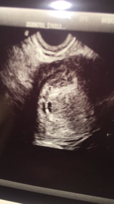 ❤🧡💛💚💙💜 pma 2020, siamo cariche? 💪🏻 - 1