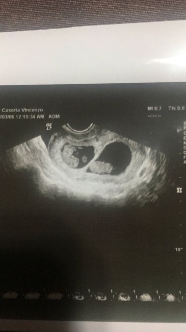 ❤🧡💛💚💙💜 pma 2020, siamo cariche? 💪🏻 - 1