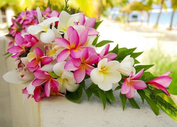 Consiglio bouquet - 15