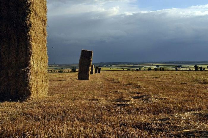 Che location avete scelto? - 9