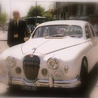 Jaguar - ristorante Canova