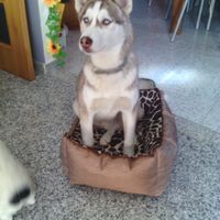 I nostri cuccioli!!! - 1