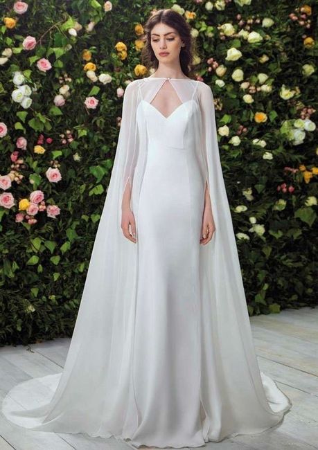 Coprispalle o altro. help - 3