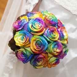 Rose arcobaleno