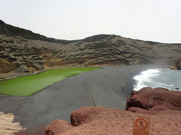 Viaggio di nozze alle canarie: chi l'ha scelto? - 5