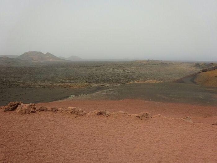 Viaggio di nozze alle canarie: chi l'ha scelto? - 6