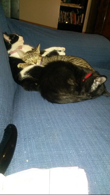 I nostri cuccioli!!! - 4