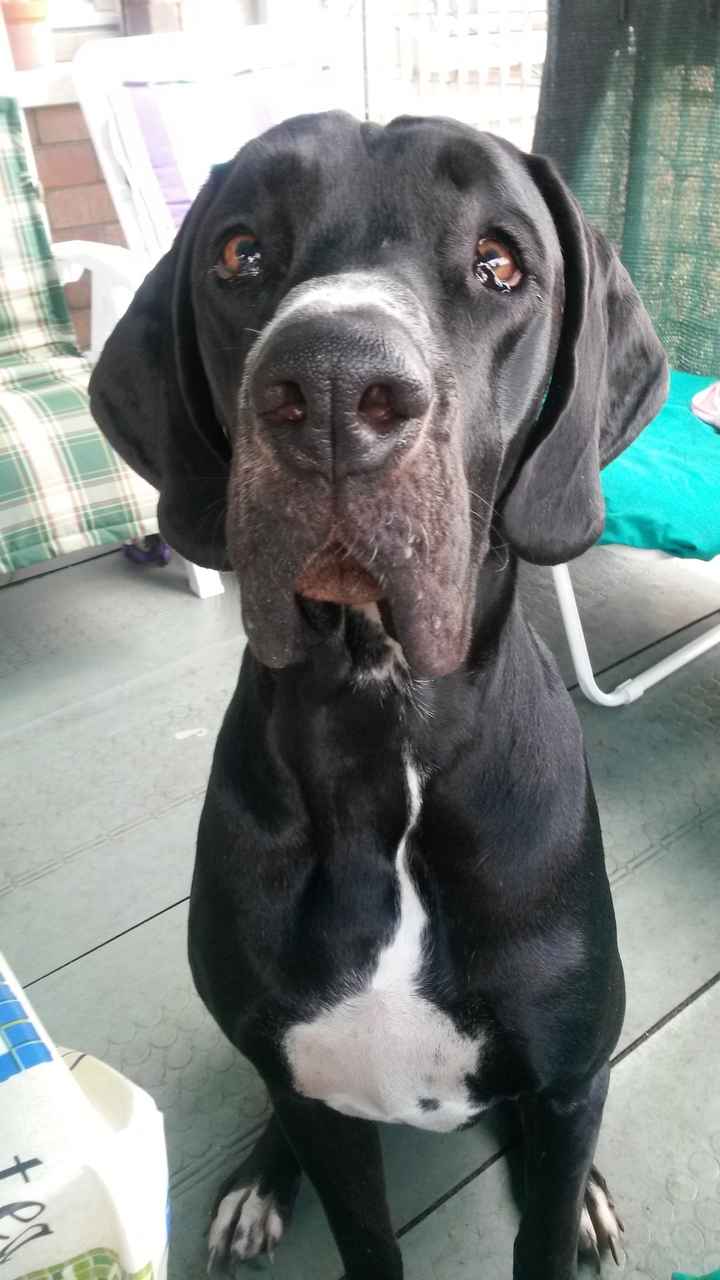 I nostri cuccioli!!! - 3