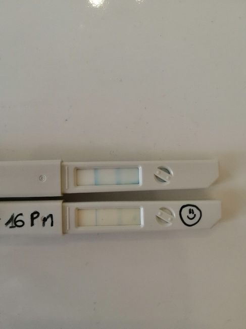Chi non le aspetta per Aprile 2020 - 1