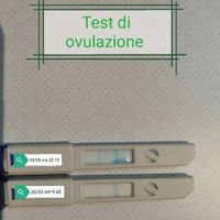 Chi non le aspetta per Marzo 2020 - 1