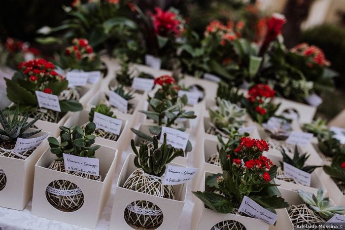 Bomboniere con piante grasse: 15 idee "succulente" per presentarle🌵 - 4