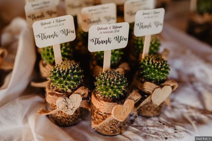 Bomboniere con piante grasse: 15 idee "succulente" per presentarle🌵 - 5